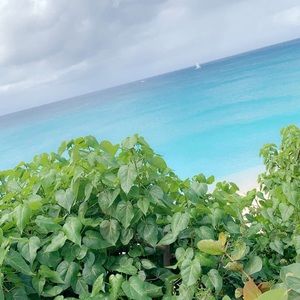 Meet your Posher, Hus